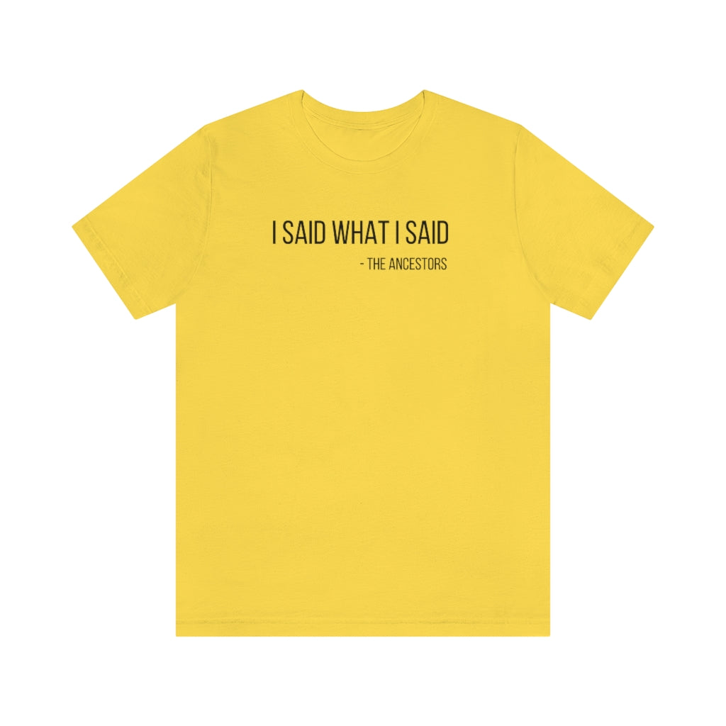 I Said What I Said Jersey Short Sleeve Tee - Arianna's Kloset