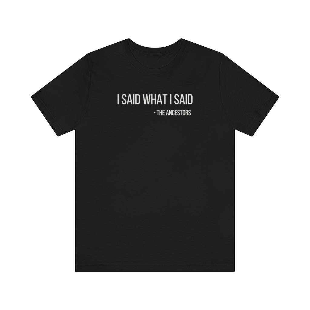 I Said What I Said Jersey Short Sleeve Tee - Arianna's Kloset