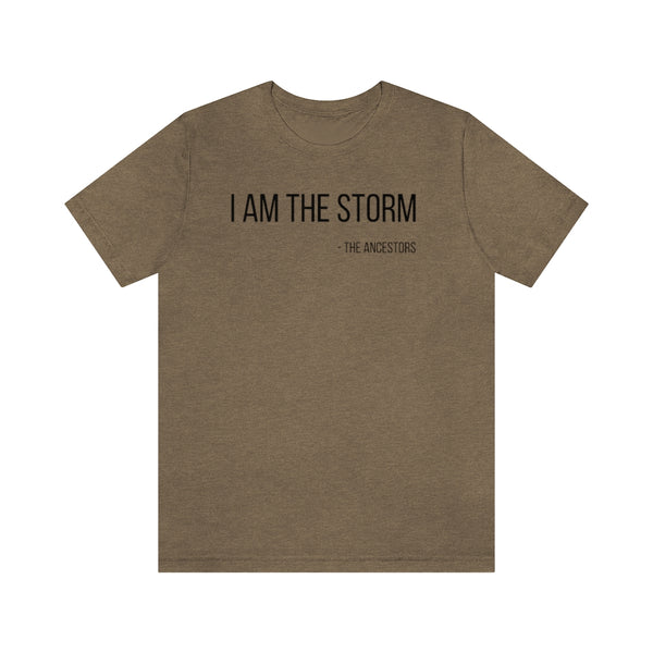 I Am The Storm Jersey Short Sleeve Tee - Arianna's Kloset