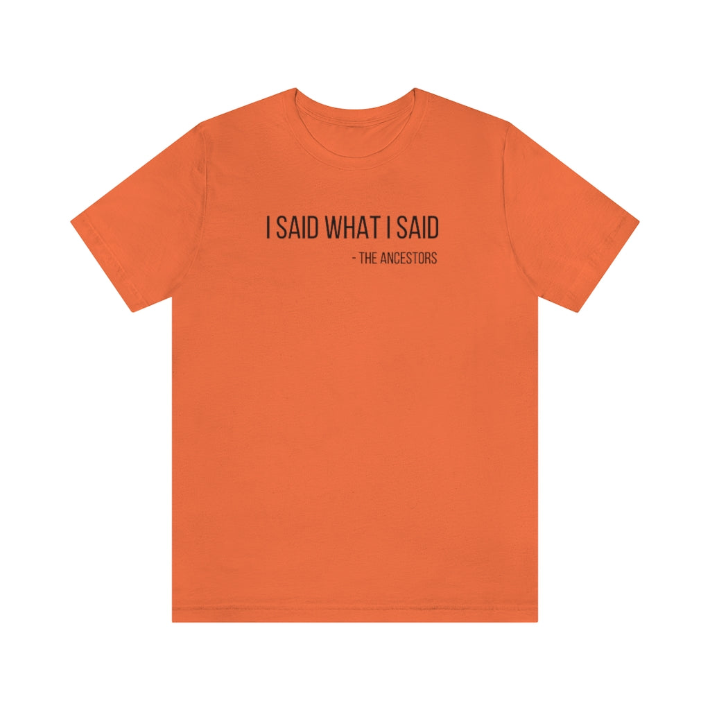 I Said What I Said Jersey Short Sleeve Tee - Arianna's Kloset