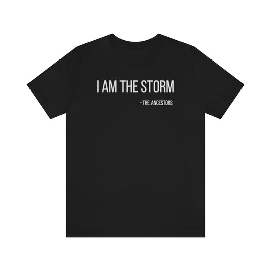 I Am The Storm Jersey Short Sleeve Tee - Arianna's Kloset